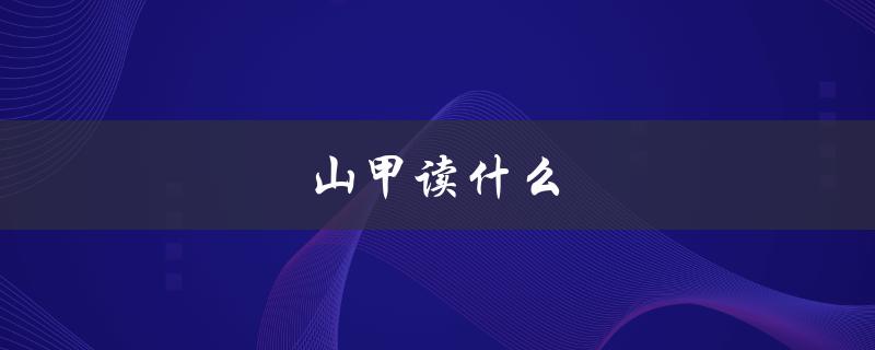 山甲读什么（山甲应该读什么）