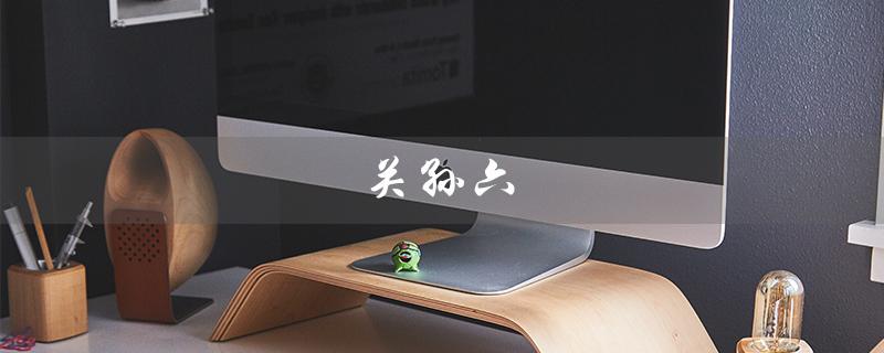 关孙六（孙六的刀如何）
