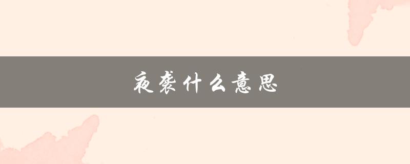 夜袭什么意思（贼乘官军宴，夜袭是什么意思）