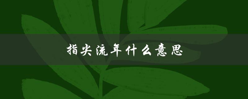 指尖流年什么意思（指尖划过流年的意思是什么）