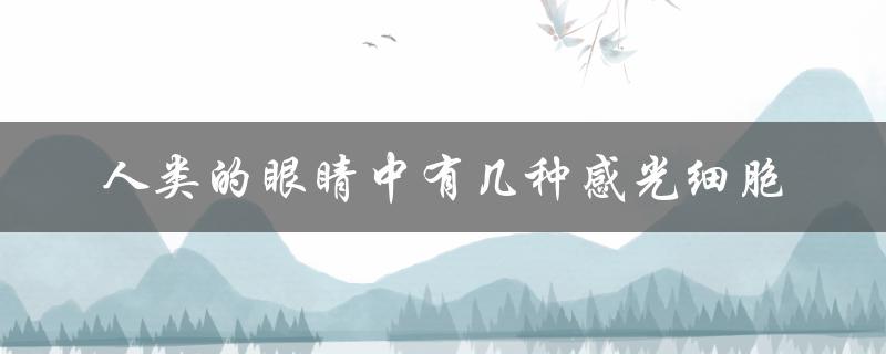 人类的眼睛中有几种感光细胞（不同感光细胞的作用及分布）