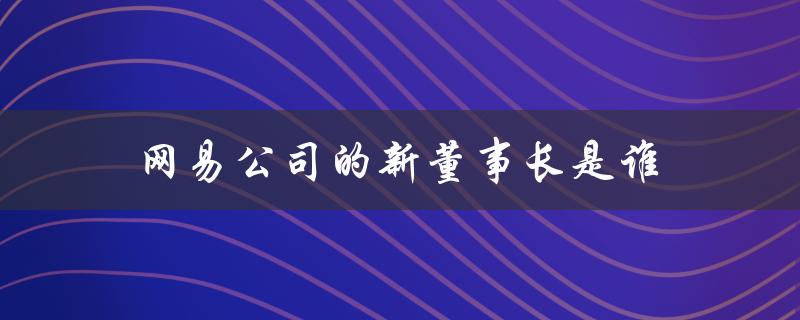 网易公司的新董事长是谁（网易公司官网是什么）