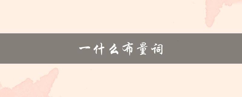 一什么布量词（一什么布量词）