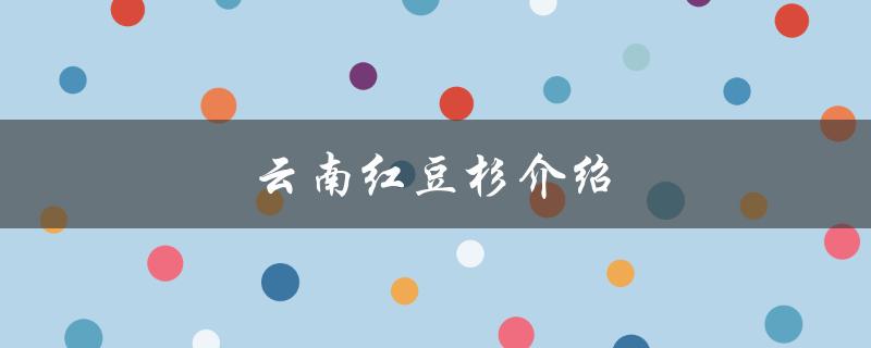 云南红豆杉介绍（云南红豆杉有何功效）