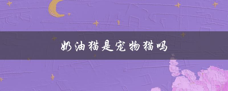 奶油猫是宠物猫吗（宠物猫能否食用动物奶油）