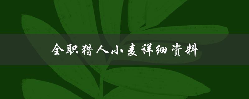 全职猎人小麦详细资料（全职猎人小麦结局如何）