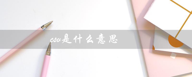 csv是什么意思（csgosv的含义是什么）