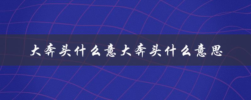 大奔头什么意大奔头什么意思（探究中国方言中的奔头）
