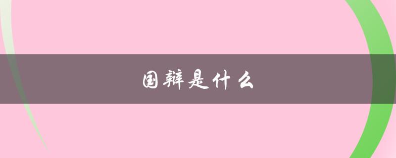 国辩是什么（国辩何时开始）