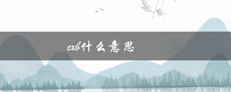 cxb什么意思（CXB的含义是什么）