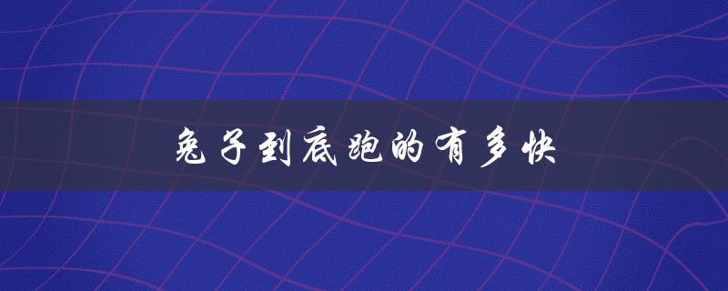 兔子到底跑的有多快（兔子喝水吗）