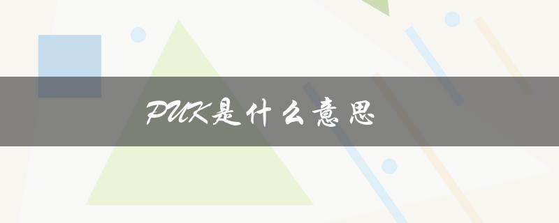 PUK是什么意思（puk的含义是什么）