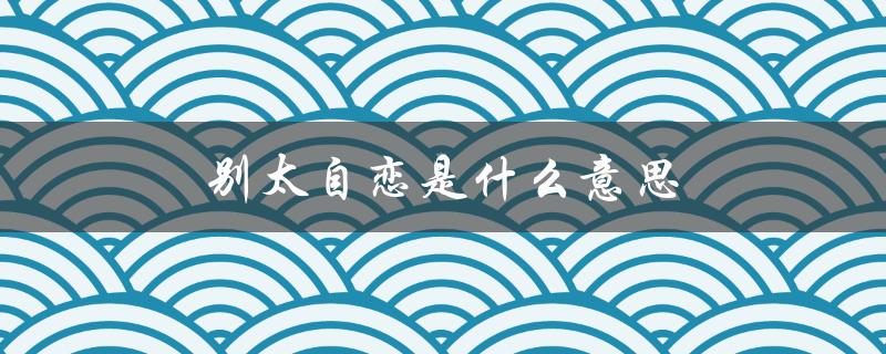 别太自恋是什么意思（别太累了是什么意思）