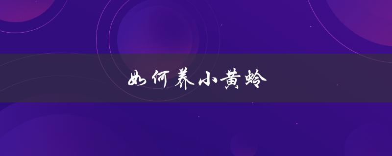 如何养小黄蛉（黄蛉怎样才能开叫）