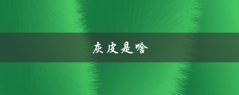 灰皮是啥（灰皮是什么）