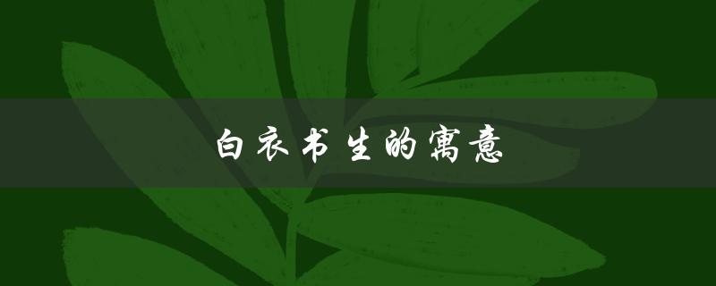 白衣书生的寓意（书生救火的寓意是什么）