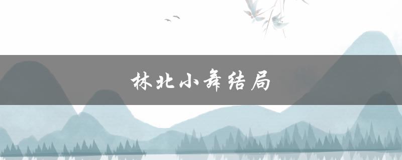 林北小舞结局（林北小舞电影结局如何）