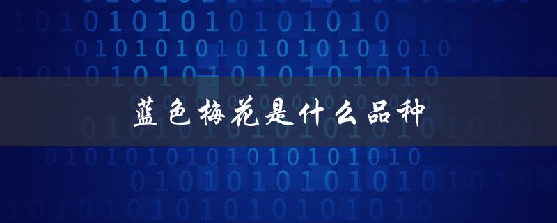 蓝色梅花是什么品种（粉梅花是什么品种）