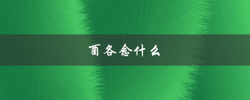 酉各念什么（酉加农念什么）