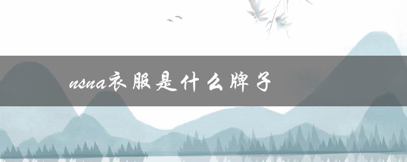 nsna衣服是什么牌子（什么是NsNa）