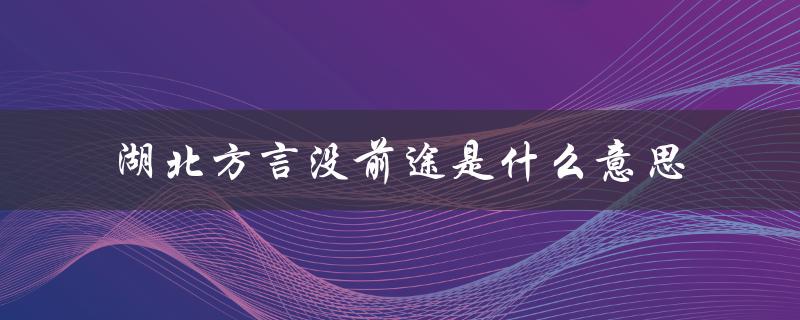 湖北方言没前途是什么意思（湖北方言勺的意思是什么）