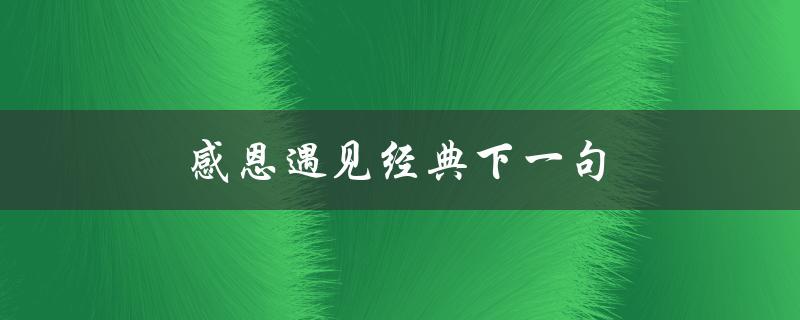 感恩遇见经典下一句（感恩遇见的后一句是什么）