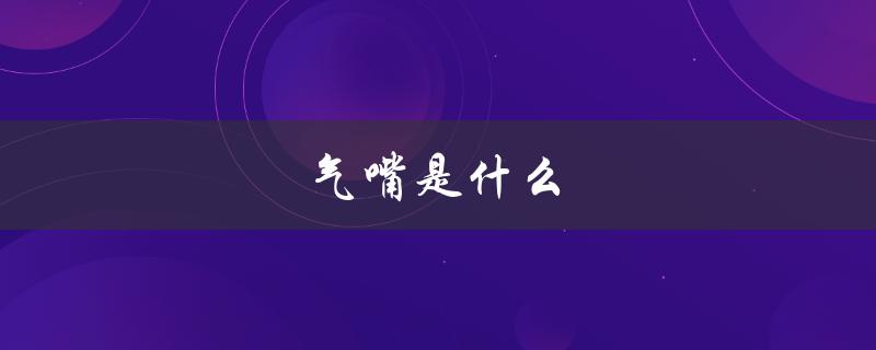 气嘴是什么（气嘴材料是什么）