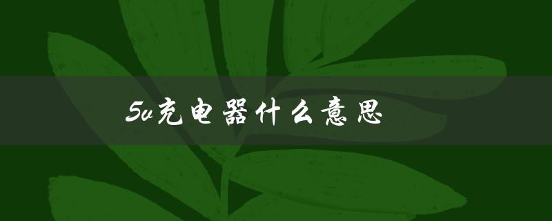 5v充电器什么意思（5V充电器是什么）