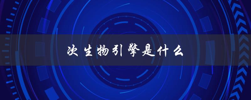 次生物引擎是什么（什么是次生物引擎）