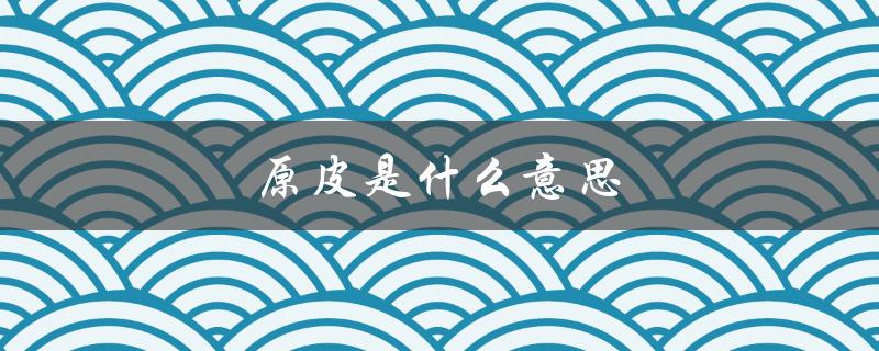 原皮是什么意思（王者原皮的含义是什么）