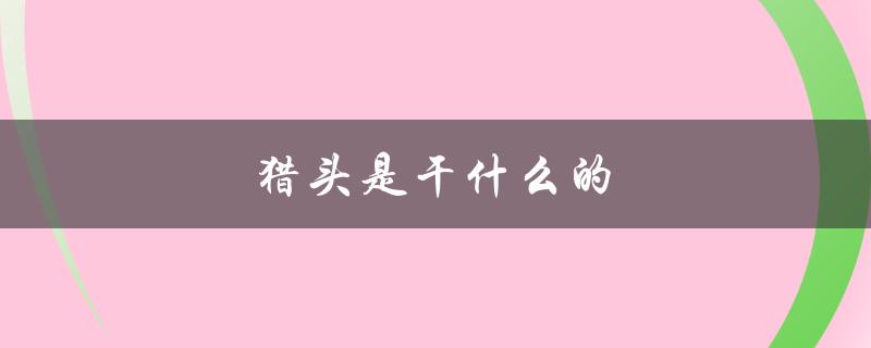 猎头是干什么的（boss直聘猎头的职责是什么）