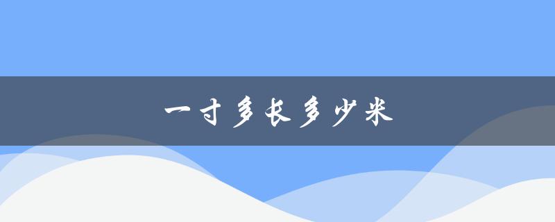 一寸多长多少米（一寸等于几米）