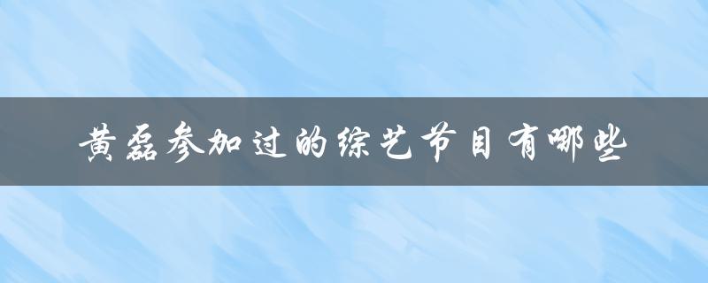 黄磊参加过的综艺节目有哪些（一览表）