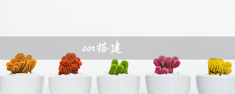 ssr搭建（如何搭建SSR服务器）