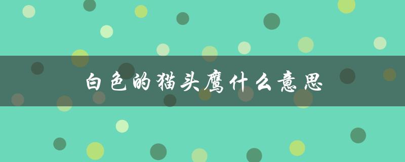 白色的猫头鹰什么意思（白猫头鹰意义是什么）