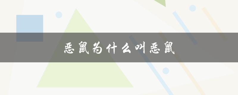 恶鼠为什么叫恶鼠（张梓祎为什么叫恶鼠）