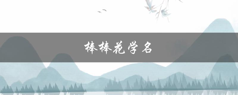 棒棒花学名（棒棒鱼的学名是什么）