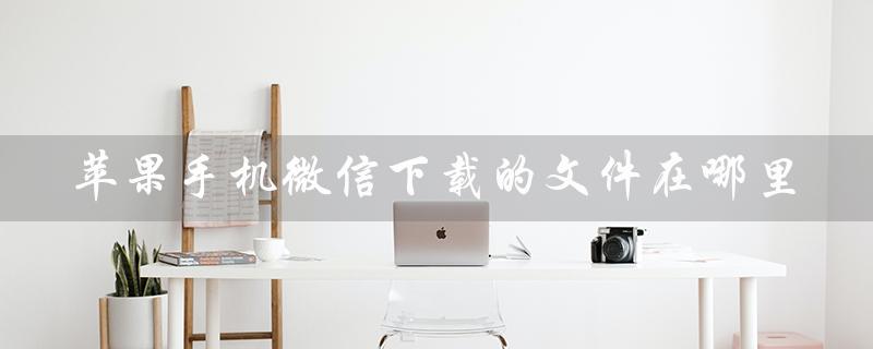 苹果手机微信下载的文件在哪里（苹果手机如何下载两个微信）