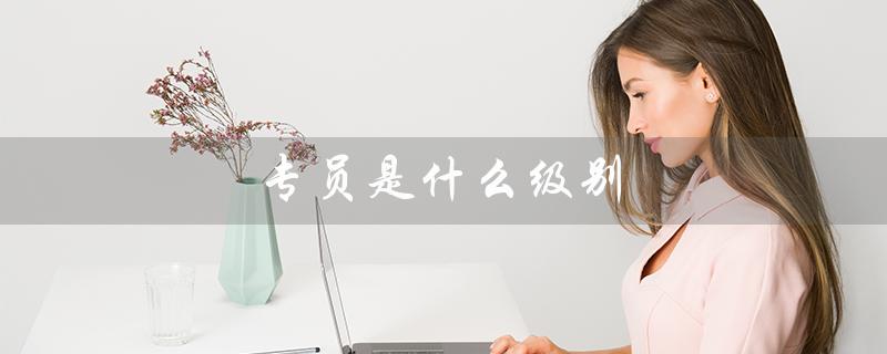 专员是什么级别（一级专员的级别是什么）