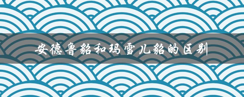 安德鲁貂和玛雪儿貂的区别（貂子马雪儿和安德鲁的区别是什么）