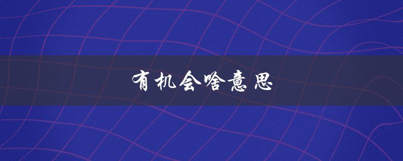 有机会啥意思（机会是什么意思）