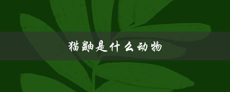 猫鼬是什么动物（猫鼬图片在哪）