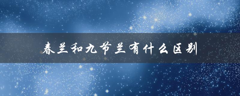 春兰和九节兰有什么区别（从外观、生长环境和用途三个方面分析）