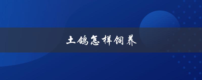 土鸽怎样饲养（怎样饲养菜鸽）