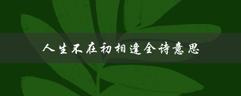 人生不在初相逢全诗意思（人生的初相逢在哪里）