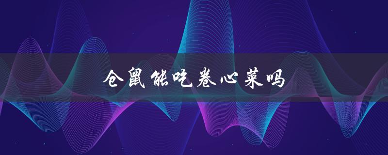 仓鼠能吃卷心菜吗（小仓鼠能否吃卷心菜）
