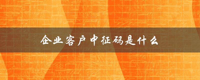 企业客户中征码是什么（企业客户征码查询）