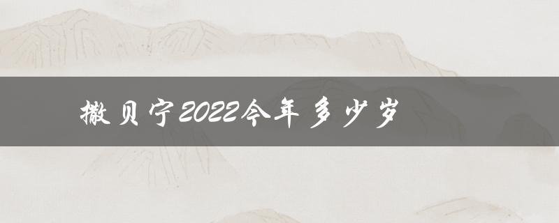撒贝宁2022今年多少岁（撒贝宁老婆几岁）