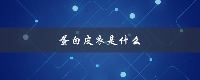 蛋白皮衣是什么（蛋白皮皮衣的材料是什么）