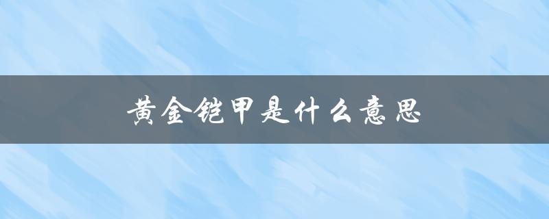 黄金铠甲是什么意思（女人说的铠甲是什么）